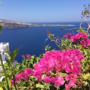 Meet your Posher, Brandy